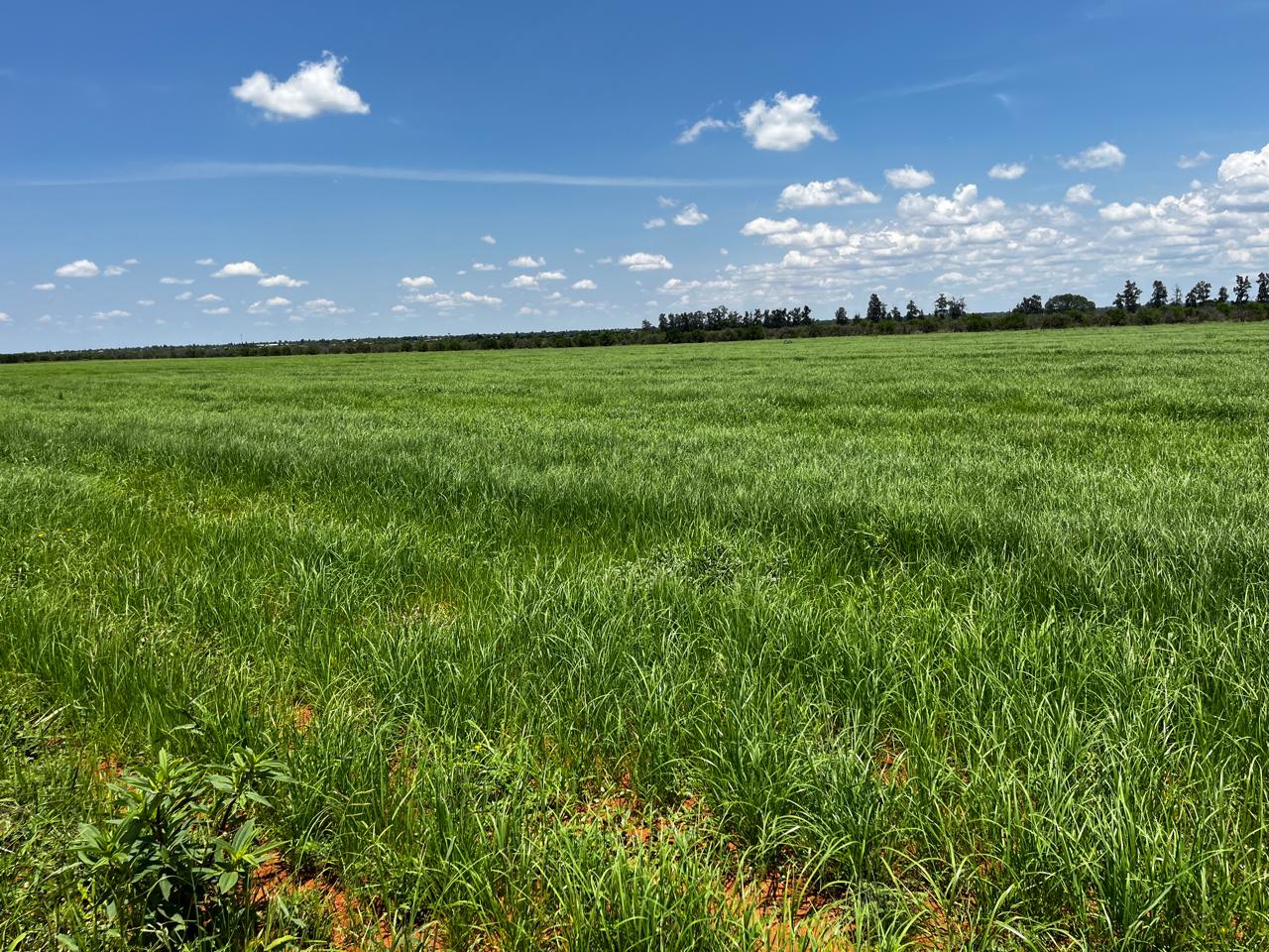 Environmental and land surveillance