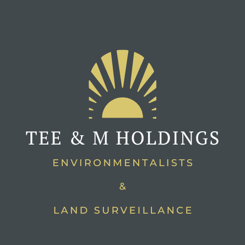 Tee & M Holdings logo